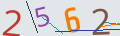 verifycode